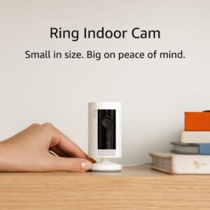 Top 10 Best Indoor Security Cameras for Homes in 2025