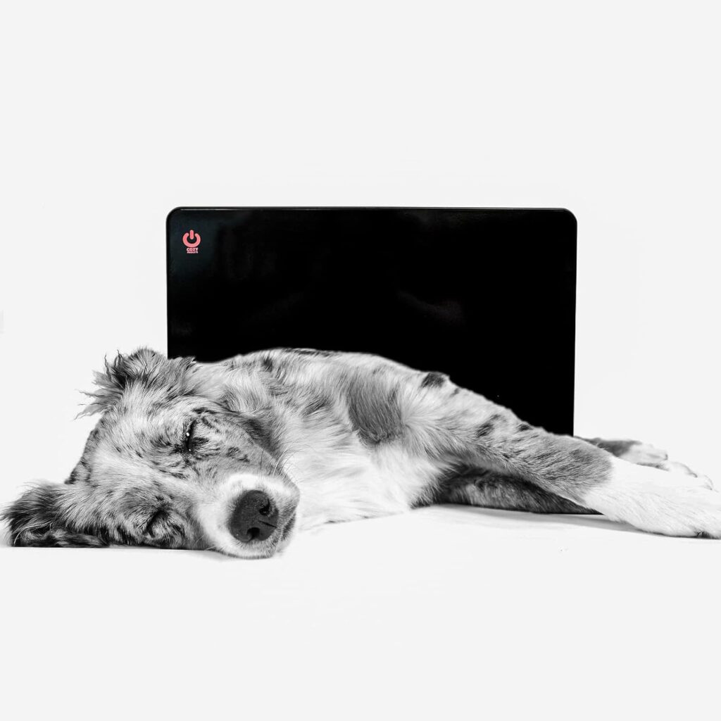 Best Pet Smart Heaters