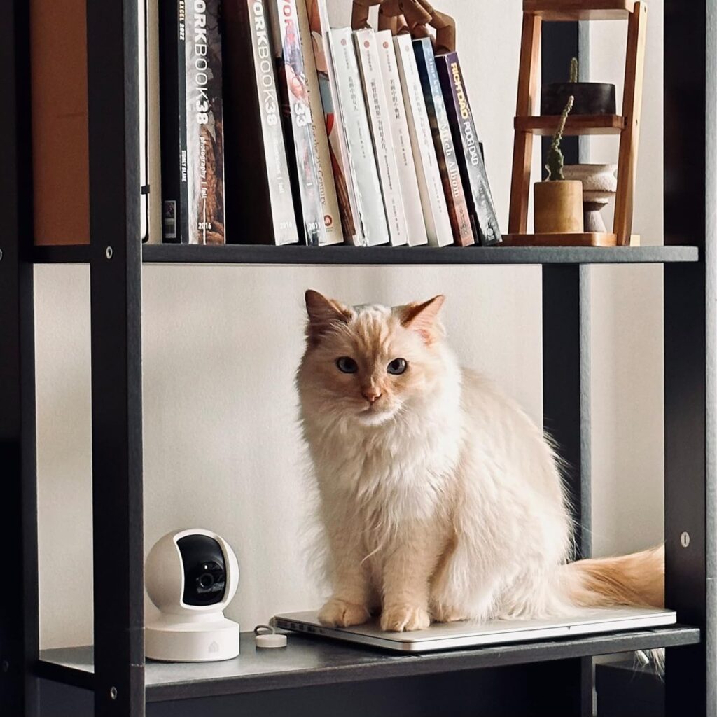 Best Nanny Cam for iPhone
