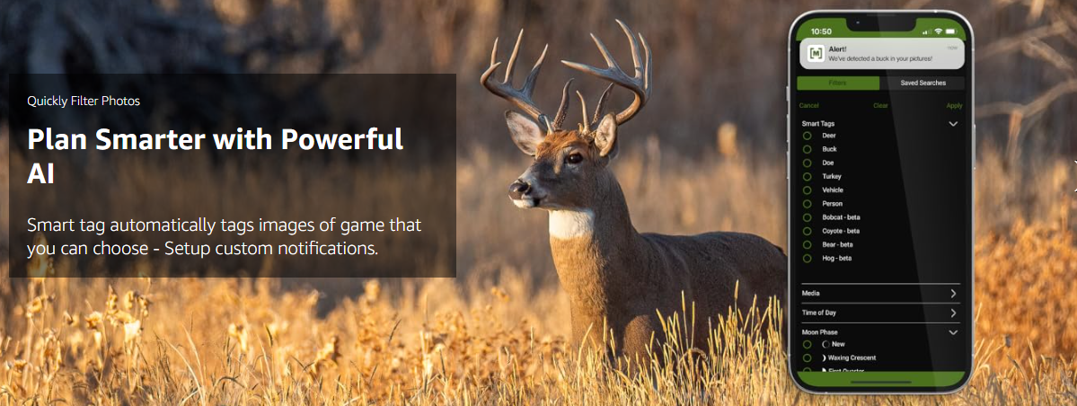 How Does a Trail Camera Work at Night