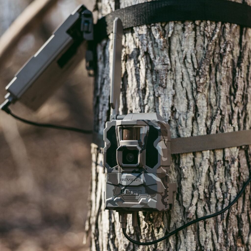 Best Cellular Trail Camera for Multiple Cameras
