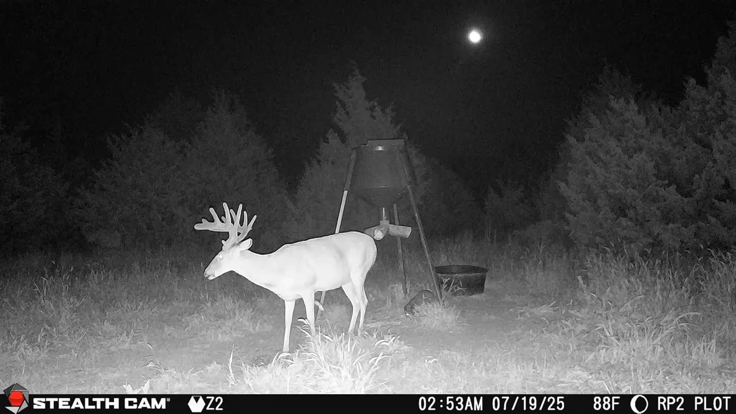 Best backyard wildlife camera