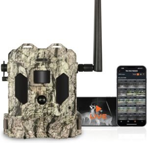 Best Cellular Trail Camera for Multiple Cameras