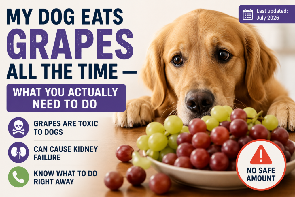 My Dog Eats Grapes All the Time